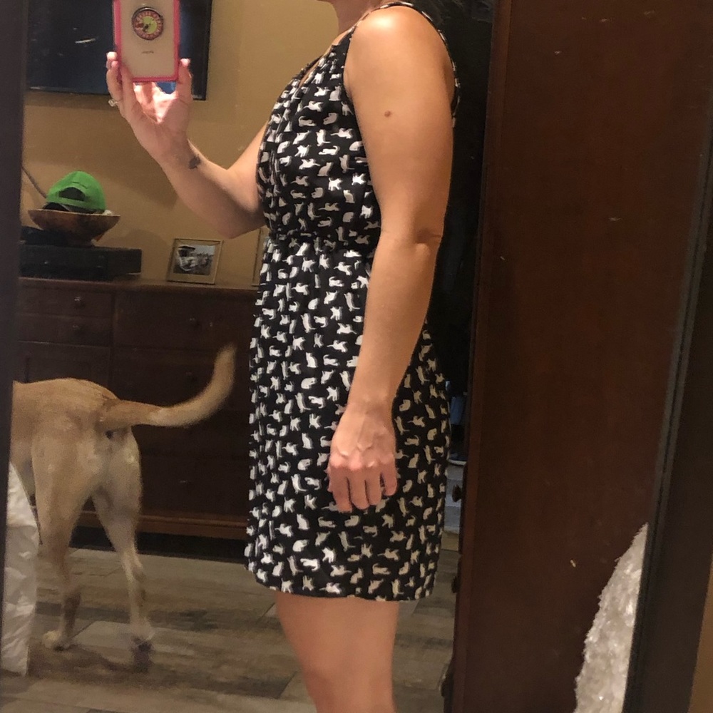 Dress- Black and White Cat Patterns- Size Small - Picture 3 of 5